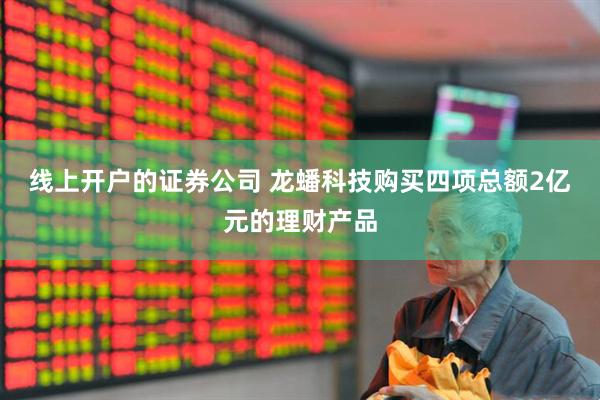 线上开户的证券公司 龙蟠科技购买四项总额2亿元的理财产品