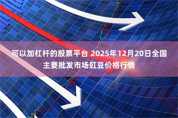 可以加杠杆的股票平台 2025年12月20日全国主要批发市场豇豆价格行情